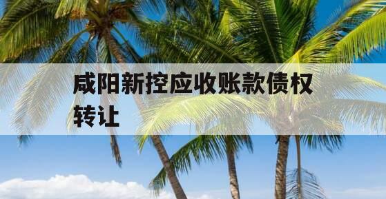 咸阳新控应收账款债权转让