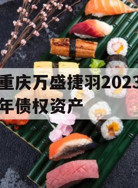 重庆万盛捷羽2023年债权资产