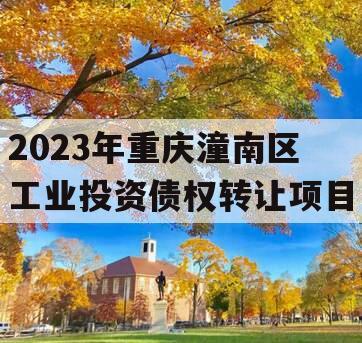 2023年重庆潼南区工业投资债权转让项目