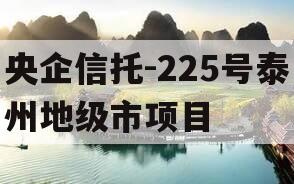 央企信托-225号泰州地级市项目