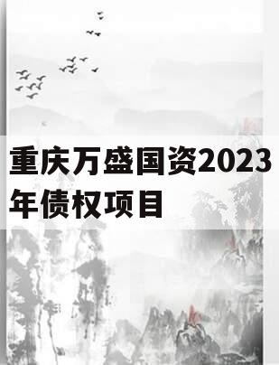 重庆万盛国资2023年债权项目