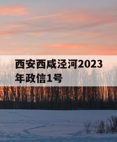 西安西咸泾河2023年政信1号