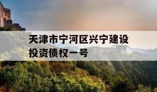 天津市宁河区兴宁建设投资债权一号