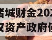 山东诸城财金2023年债权资产政府债定融