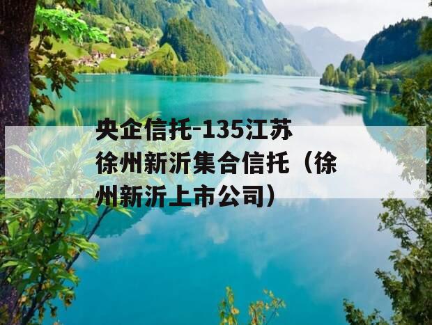 央企信托-135江苏徐州新沂集合信托（徐州新沂上市公司）