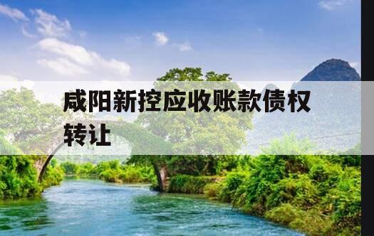 咸阳新控应收账款债权转让