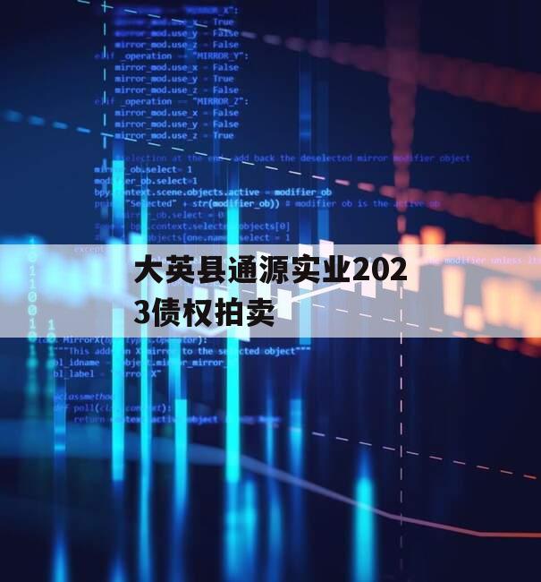 大英县通源实业2023债权拍卖