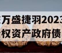 重庆万盛捷羽2023年债权资产政府债定融