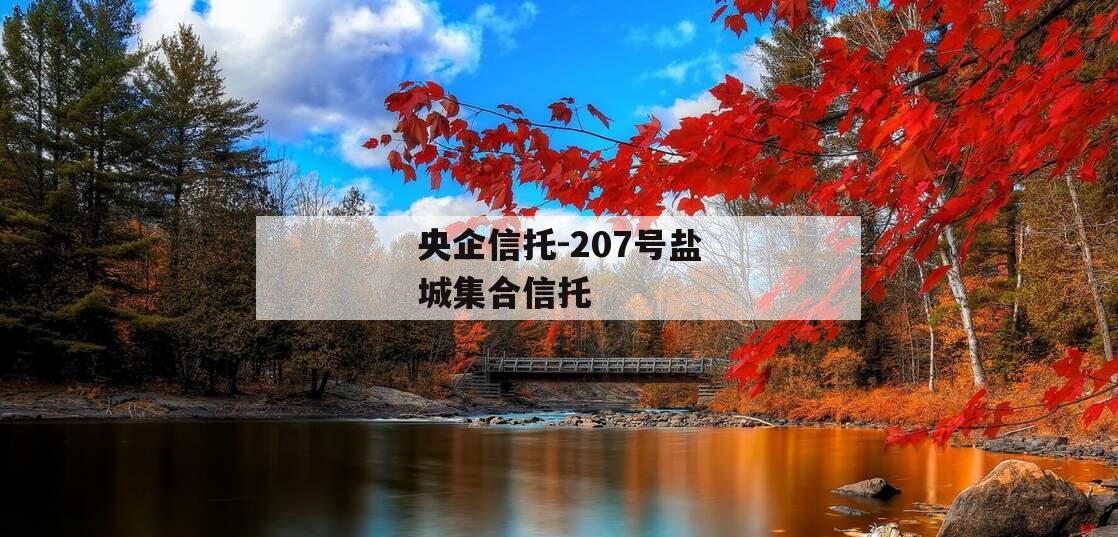 央企信托-207号盐城集合信托