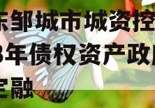 山东邹城市城资控股2023年债权资产政府债定融