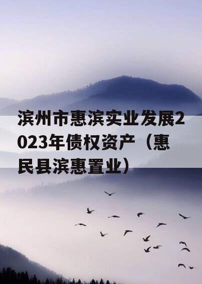 滨州市惠滨实业发展2023年债权资产（惠民县滨惠置业）