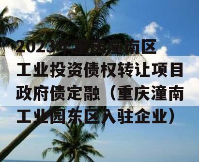 2023年重庆潼南区工业投资债权转让项目政府债定融（重庆潼南工业园东区入驻企业）