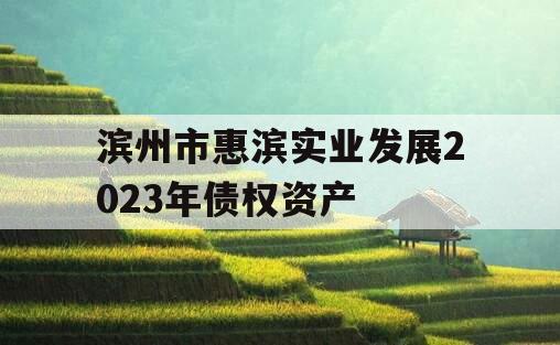 滨州市惠滨实业发展2023年债权资产