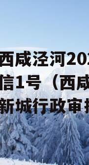 西安西咸泾河2023年政信1号（西咸新区泾河新城行政审批局）