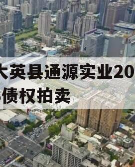 大英县通源实业2023债权拍卖