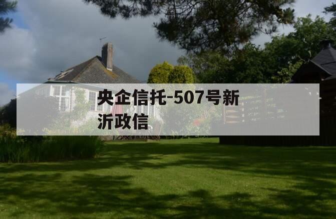 央企信托-507号新沂政信