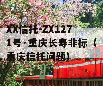 XX信托-ZX1271号·重庆长寿非标（重庆信托问题）