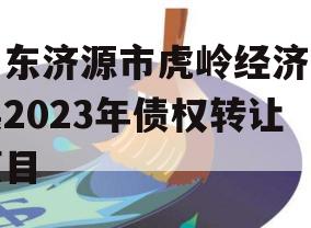 山东济源市虎岭经济发展2023年债权转让项目