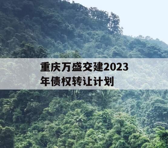 重庆万盛交建2023年债权转让计划