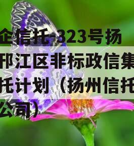 央企信托-323号扬州邗江区非标政信集合信托计划（扬州信托投资公司）