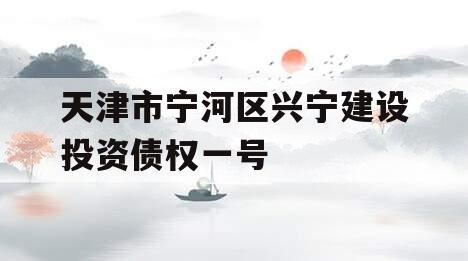 天津市宁河区兴宁建设投资债权一号