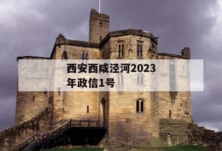 西安西咸泾河2023年政信1号