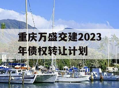 重庆万盛交建2023年债权转让计划