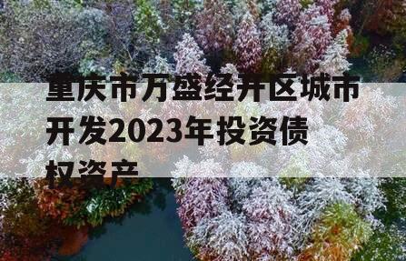 重庆市万盛经开区城市开发2023年投资债权资产