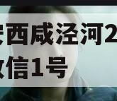 西安西咸泾河2023年政信1号