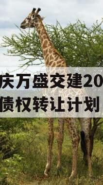 重庆万盛交建2023年债权转让计划