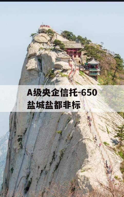 A级央企信托-650盐城盐都非标