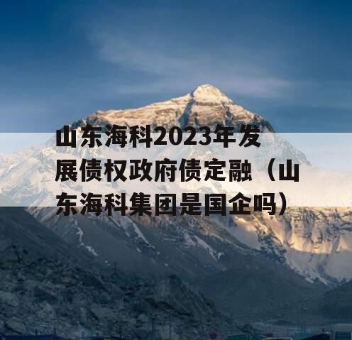 山东海科2023年发展债权政府债定融（山东海科集团是国企吗）