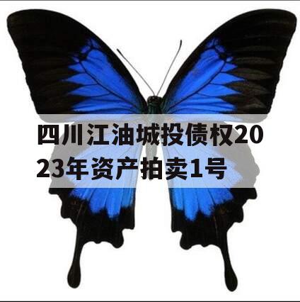 四川江油城投债权2023年资产拍卖1号