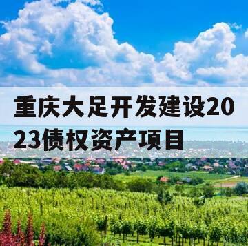 重庆大足开发建设2023债权资产项目