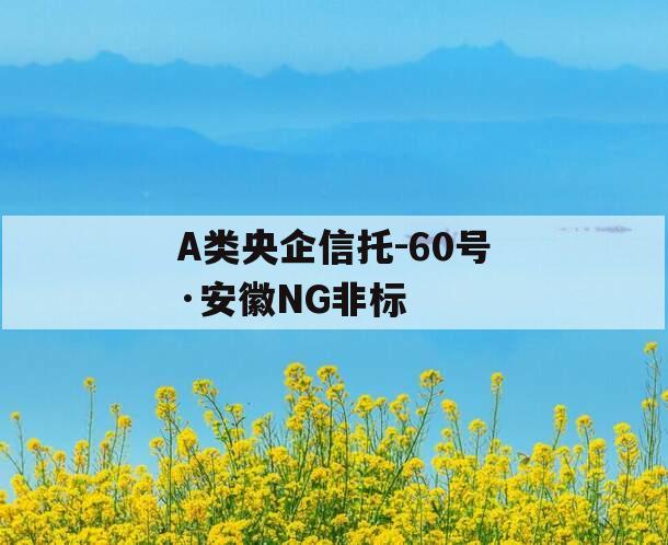 A类央企信托-60号·安徽NG非标