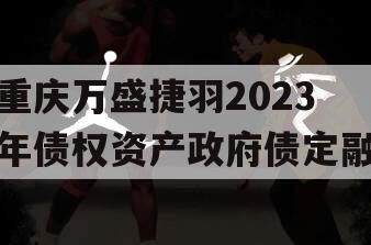 重庆万盛捷羽2023年债权资产政府债定融