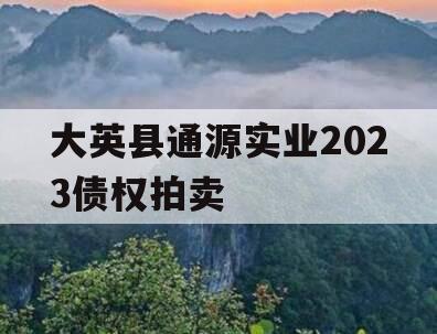 大英县通源实业2023债权拍卖