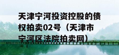 天津宁河投资控股的债权拍卖02号（天津市宁河区法院拍卖网）