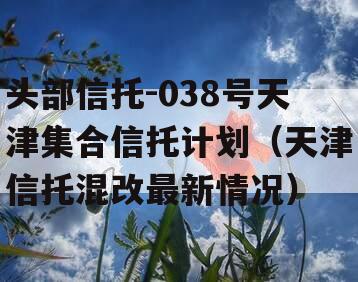 头部信托-038号天津集合信托计划（天津信托混改最新情况）