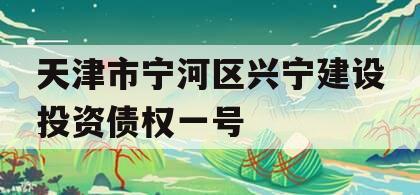 天津市宁河区兴宁建设投资债权一号