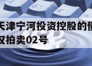 天津宁河投资控股的债权拍卖02号