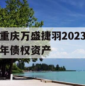 重庆万盛捷羽2023年债权资产