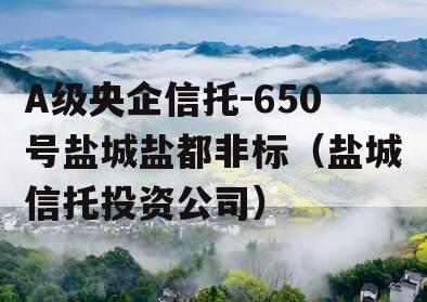 A级央企信托-650号盐城盐都非标（盐城信托投资公司）