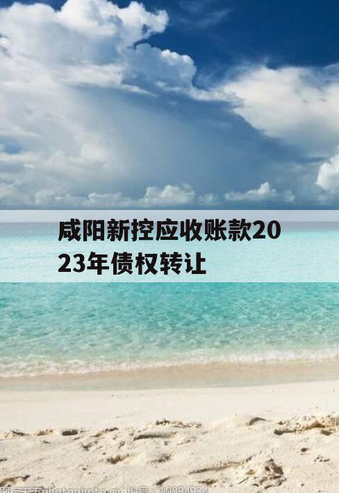 咸阳新控应收账款2023年债权转让