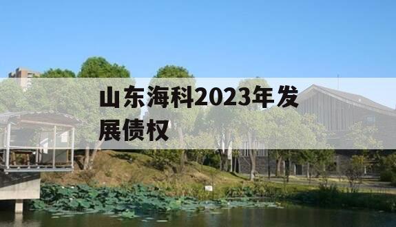 山东海科2023年发展债权