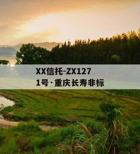 XX信托-ZX1271号·重庆长寿非标