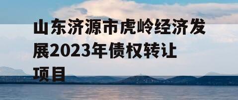 山东济源市虎岭经济发展2023年债权转让项目