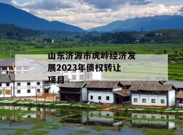 山东济源市虎岭经济发展2023年债权转让项目