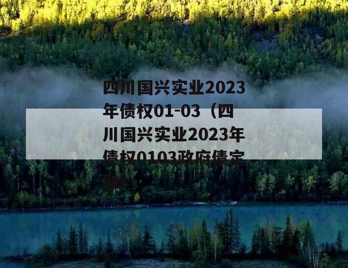 四川国兴实业2023年债权01-03（四川国兴实业2023年债权0103政府债定融）