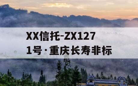 XX信托-ZX1271号·重庆长寿非标